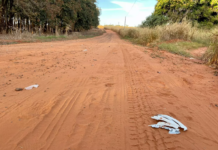 Casal de ciclistas é atropelado por carro em estrada rural de Bálsamo; mulher morreu e motorista fugiu