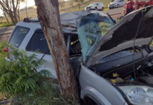 Batida de carro em árvore deixa homem ferido em rodovia de Pereira Barreto