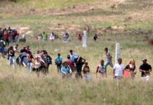 IBGE firma acordos com ONU para recensear imigrantes e refugiados