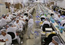 Produção industrial cai 0,4% em junho após quatro meses de alta