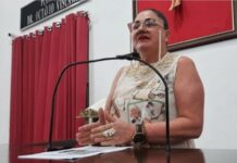 Sueli Friósi propõe inclusão do “Parque das Artes” no calendário oficial de Votuporanga