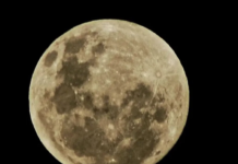 ‘Superlua de esturjão’ acontece nesta quinta e será a última do ano; veja como observar