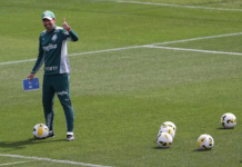 Abel finaliza preparativos e terá Palmeiras completo contra o Fluminense