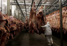 Consumo de carne bovina no Brasil deve cair ao menor nível em 26 anos
