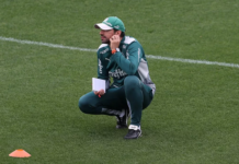 Abel tem Palmeiras praticamente completo para pegar o Flamengo