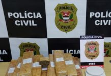 DISE prende traficante e apreende mais de 11,5kg de maconha em Votuporanga