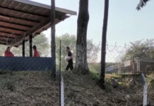 Polícia Federal investiga irregularidades na liberação de veículos em pátios