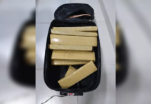 Polícia de Araçatuba realiza trabalho de investigação no MS e prende homem com 15 tijolos de maconha