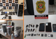 Polícia Civil deflagra operação regional de combate à pedofilia