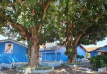 Grupo Espírita Maria de Nazaré de Votuporanga – Há 40 anos semeando luz. Oásis de amor e trabalho no bem!