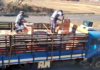 Caminhoneiro é preso com 100 mil maços de cigarros contrabandeados em Penápolis