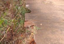 Valdecir Lio pede reforma em calçamento na zona norte