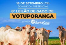 8º leilão de gado em prol da Santa Casa será em setembro