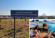 Em alusão ao Dia da Árvore, LEO Clube de Votuporanga planta 20 mudas