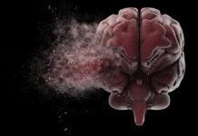 Simpósio do HB debate tratamento de Alzheimer e Parkinson