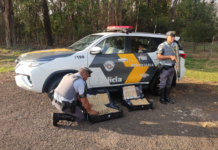 Mulher é presa por tráfico de drogas em Araçatuba