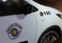 Idoso morre após ser atacado por boi em propriedade rural de Penápolis