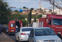 Abelhas atacam idosos em asilo de José Bonifácio