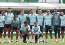 Com suspensões e convocações, Palmeiras será obrigado a mudar time; veja opções de Abel