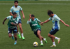 Palmeiras se reapresenta e inicia preparação para clássico