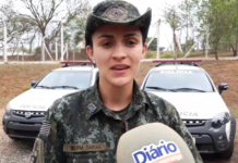 Meio Ambiente: Polícia Ambiental celebra o Dia da Árvore com ações de conscientização