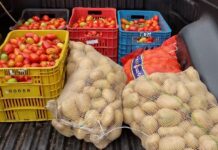 Cerealista Jardim destina cebolas, batatas e tomates