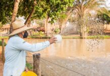 Foz do Marinheiro traz qualidade de vida aos animais da Fazendinha