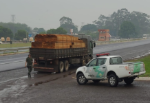 Polícia Ambiental multa proprietário rural em mais de R$ 80 mil por queimada irregular