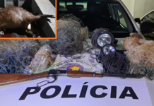 Polícia Ambiental prende caçador com capivara abatida em Cardoso