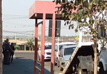 Polícia investiga agressão a mulher encontrada ferida às margens de rodovia em Severínia