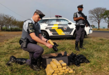 Polícia prende passageiro com 18 tijolos de maconha dentro de ônibus