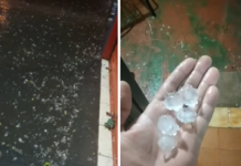 Temporal derruba árvores, destelha casas e deixa bairros sem energia em Votuporanga