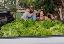 Horta Nossa Senhora Aparecida: verduras frescas para a Santa Casa