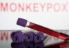 Brasil tem oitava morte por varíola dos macacos confirmada
