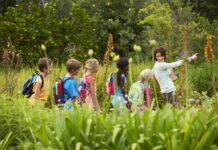 Secretaria da Cultura e Turismo promove gratuitamente o Curso de “Turismo Pedagógico no Meio Rural”