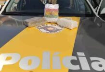 Com filho de 4 anos, mulher é presa com maconha em haxixe em ônibus