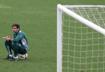 Reta final do Palmeiras no Brasileiro terá rivais do Z-4, briga por Libertadores e “decisão”