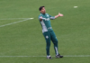 Treino do Palmeiras tem Tabata em recuperação e trabalhos técnicos e táticos com o elenco