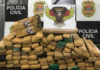 Polícia Civil de Jales apreende quase 100 tijolos de maconha escondidos em mata