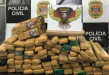 Polícia Civil de Jales apreende quase 100 tijolos de maconha escondidos em mata
