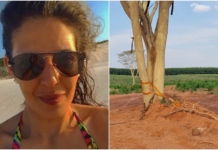 Polícia Civil prende homem suspeito de matar motorista de aplicativo em Olímpia