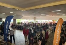 Votu Otaku Fest reúne mais de 4 mil pessoas na Cidade Universitária da Unifev