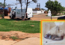 Funcionário encontra feto humano na estação de tratamento de esgoto em Birigui