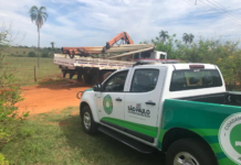 Dupla é presa por furto de postes de telefonia em Fernandópolis