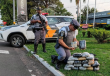 Passageira de ônibus é presa após ser flagrada com pacotes de skunk dentro de mala na Rodovia Marechal Rondon