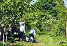 Suspeito de matar mulher encontrada nua e com sinais de agressão é preso em Rio Preto