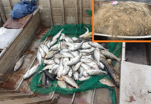 Pescadores da região de Rio Preto são multados por pesca predatória