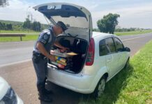 Polícia prende dupla com 20kg de maconha na Rodovia Washington Luís