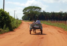 Secretaria da Agricultura faz ação conjunta do CAR e Rotas Rurais no interior paulista