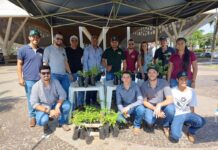 Agronomia realiza entrega gratuita de mudas no centro de Votuporanga